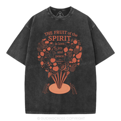 The Fruit Of The Spirit Christian Washed T-Shirt