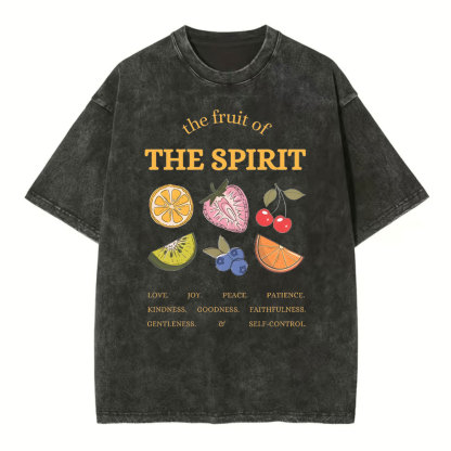 The Fruit Of The Spirit Christian Washed T-Shirt