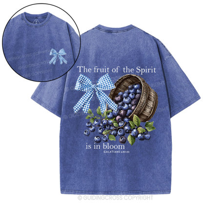 The Fruit Of The Spirit Christian Washed T-Shirt