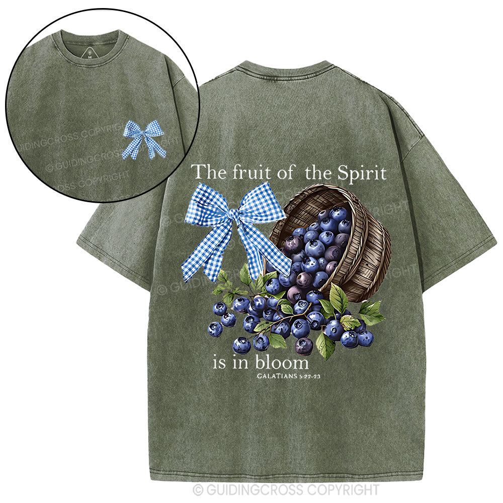 The Fruit Of The Spirit Christian Washed T-Shirt
