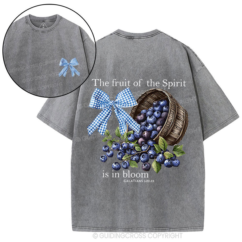The Fruit Of The Spirit Christian Washed T-Shirt