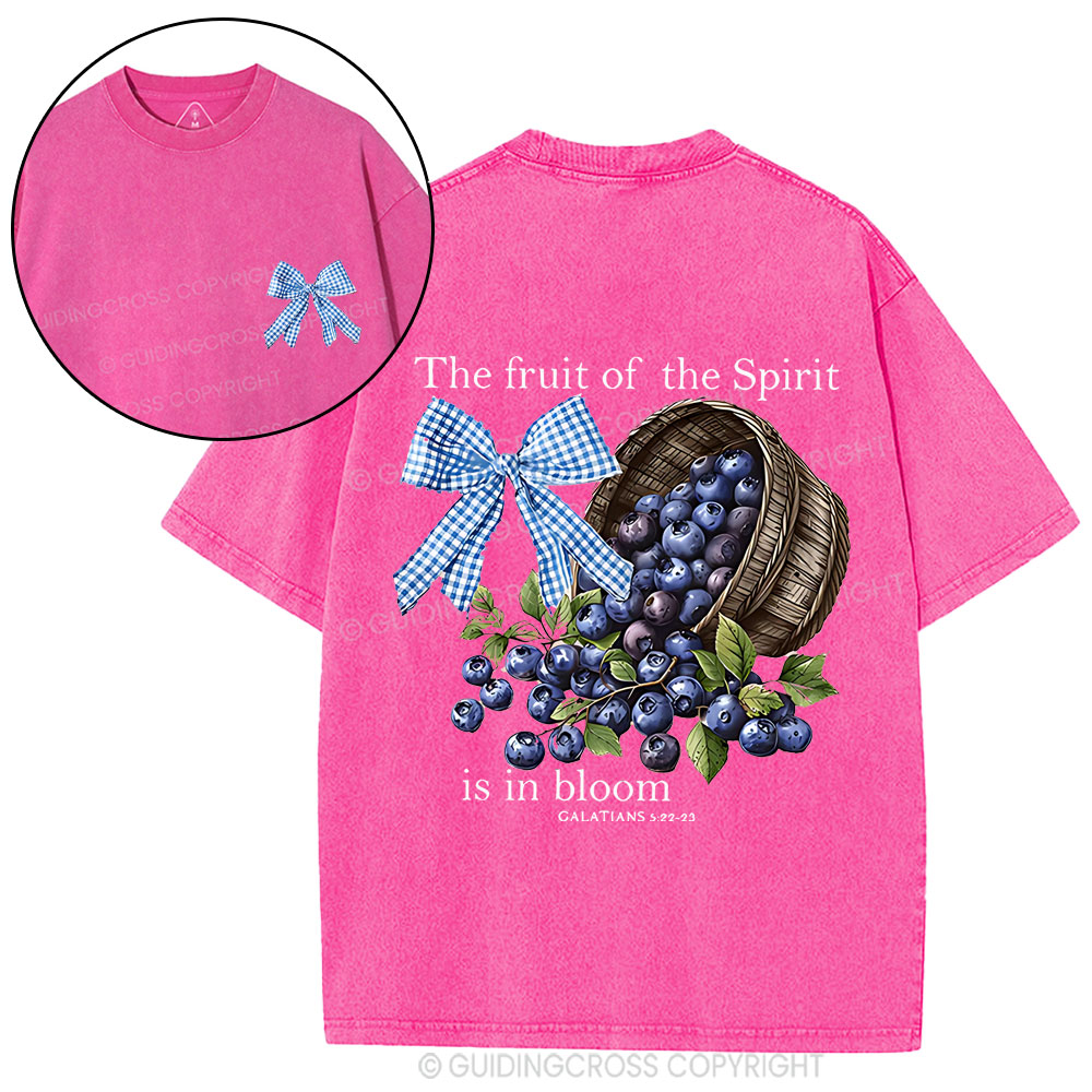 The Fruit Of The Spirit Christian Washed T-Shirt
