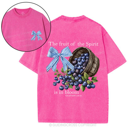 The Fruit Of The Spirit Christian Washed T-Shirt