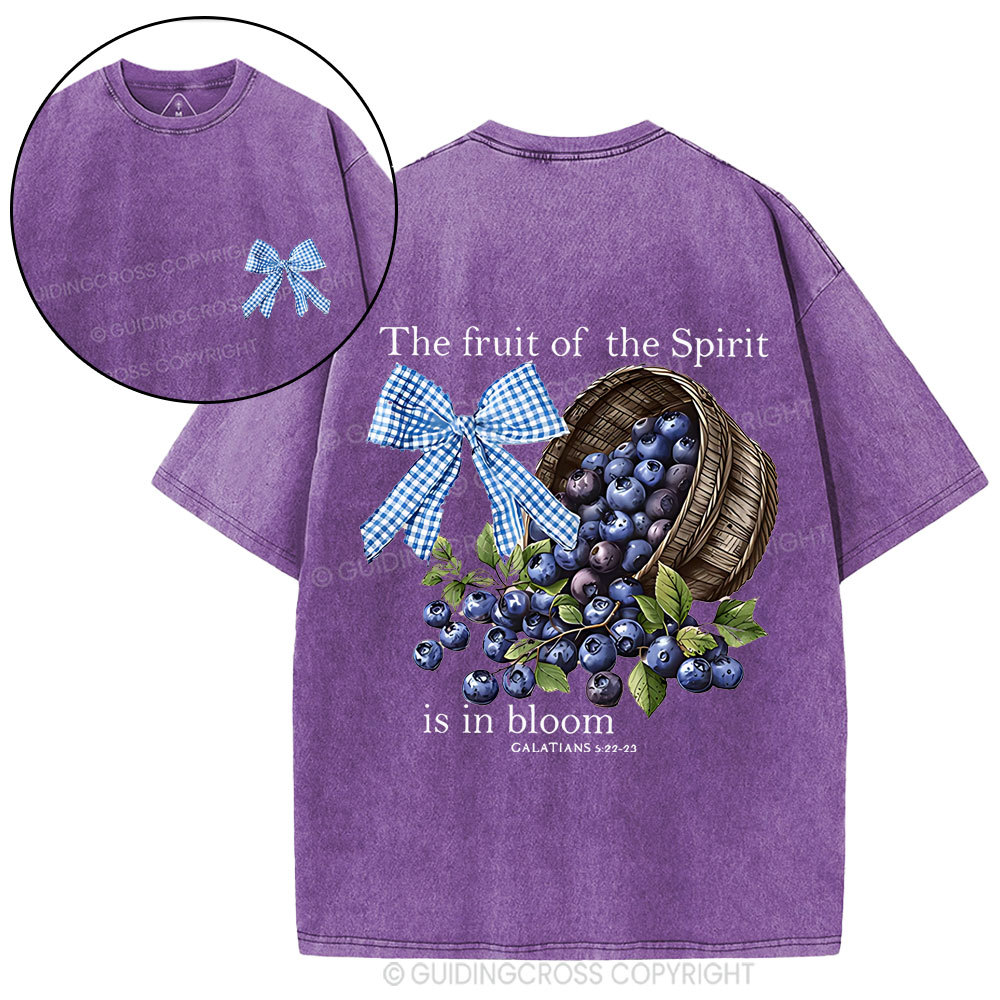 The Fruit Of The Spirit Christian Washed T-Shirt