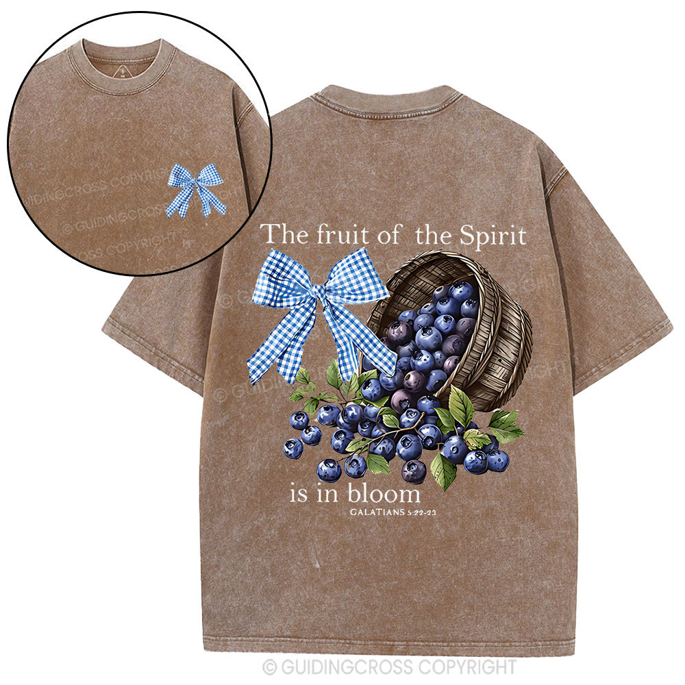 The Fruit Of The Spirit Christian Washed T-Shirt
