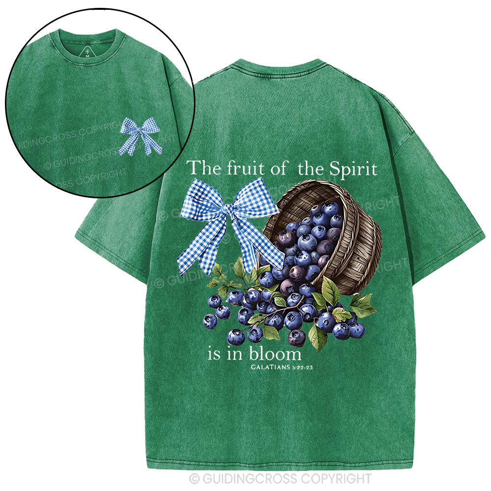 The Fruit Of The Spirit Christian Washed T-Shirt