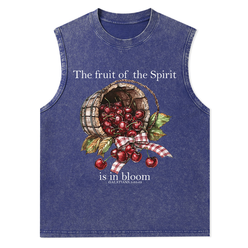 The Fruit Of The Spirit Christian Washed Tank Top