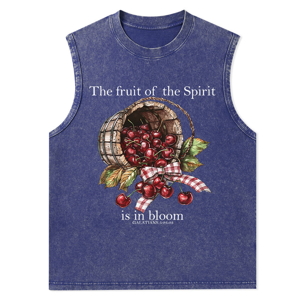 The Fruit Of The Spirit Christian Washed Tank Top