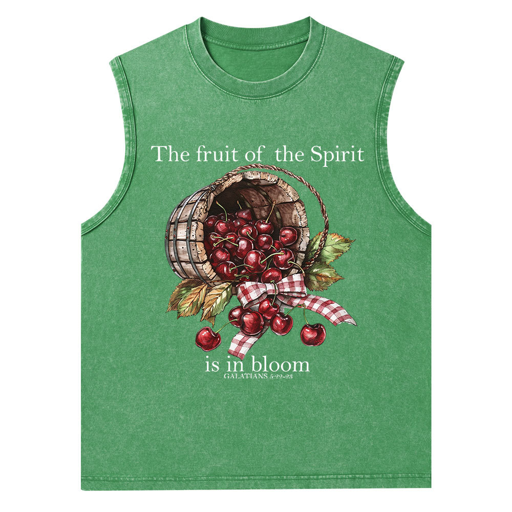 The Fruit Of The Spirit Christian Washed Tank Top