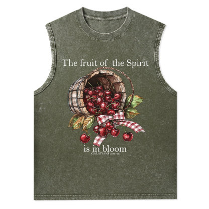 The Fruit Of The Spirit Christian Washed Tank Top