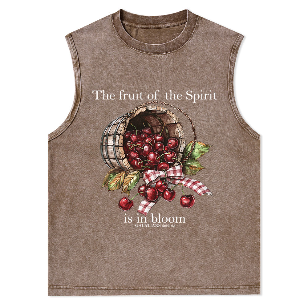 The Fruit Of The Spirit Christian Washed Tank Top