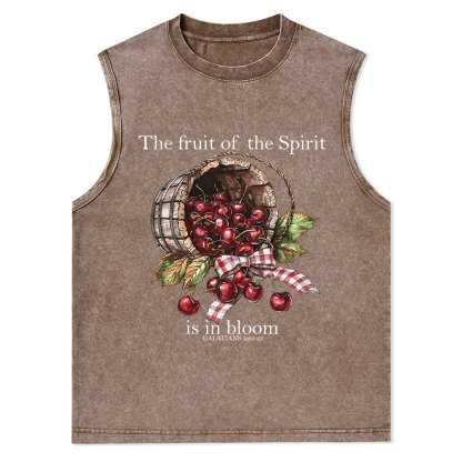 The Fruit Of The Spirit Christian Washed Tank Top