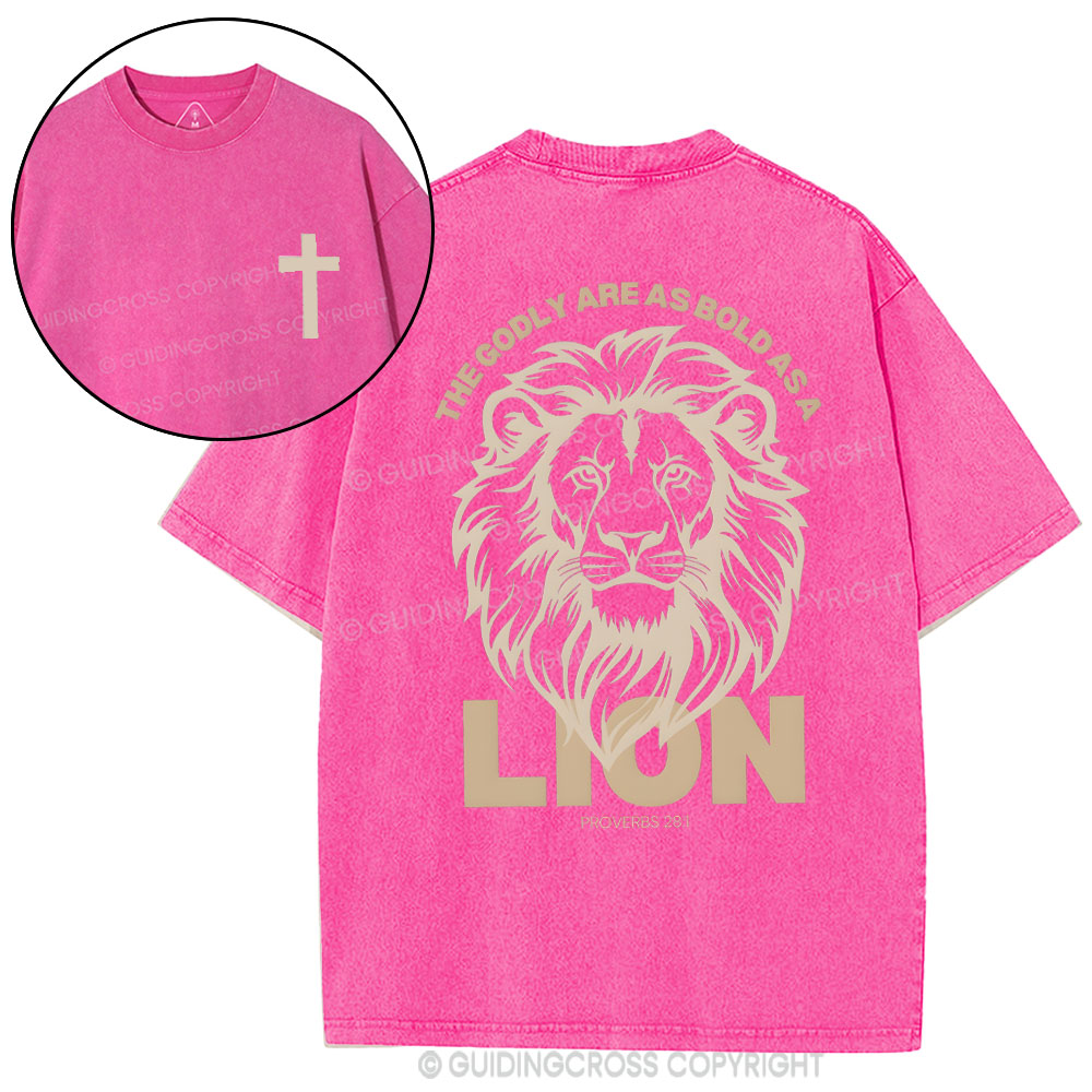 The Glory Are As Bold As A Lion Christian Washed T-Shirt