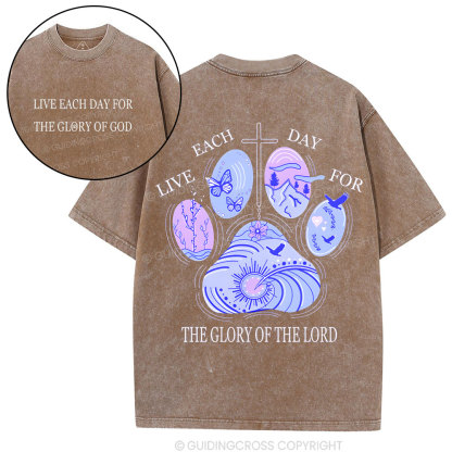 The Glory Of The Lord  Christian Washed T-Shirt