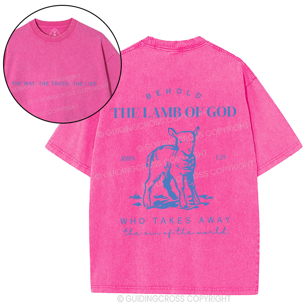 The Lamb Of God Christian Washed T-Shirt