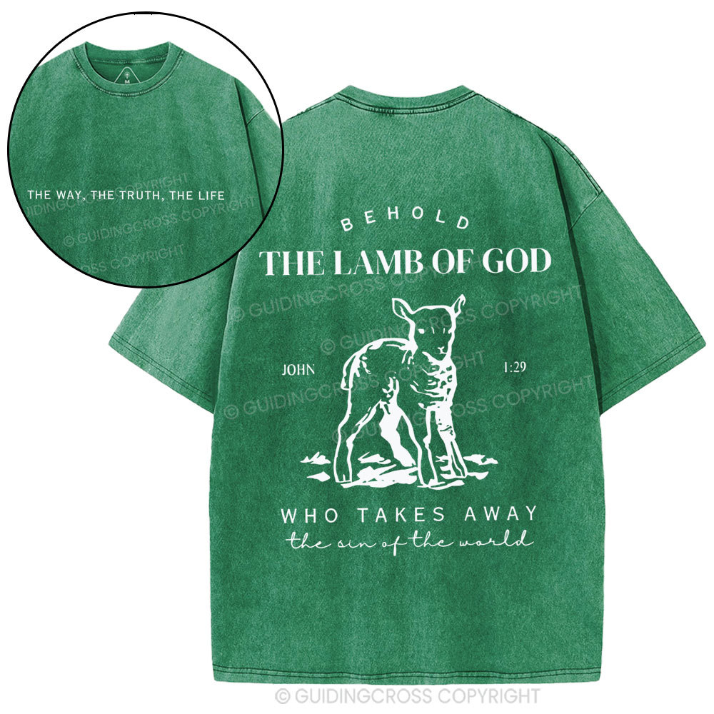 The Lamb Of God Christian Washed T-Shirt