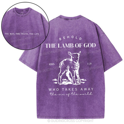 The Lamb Of God Christian Washed T-Shirt