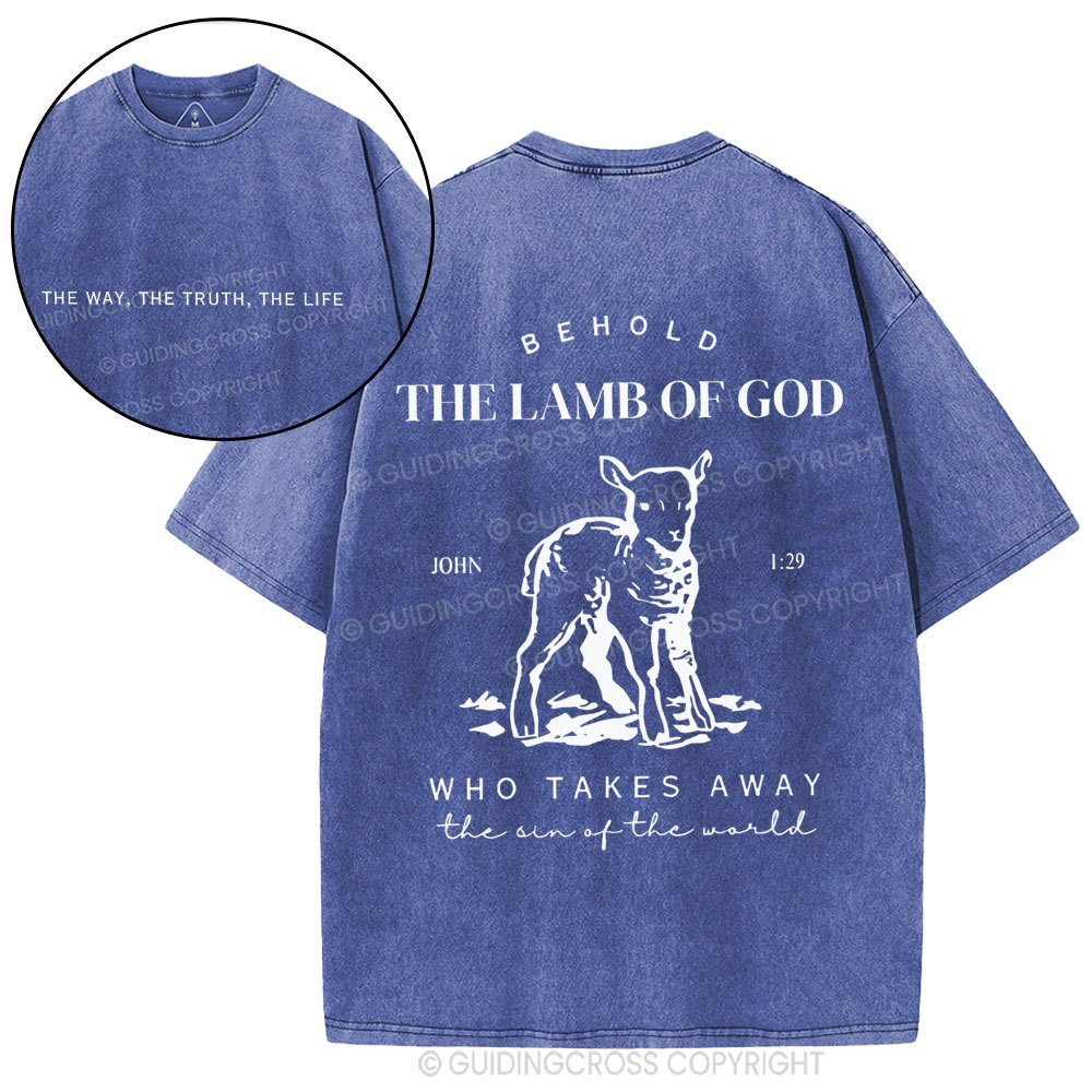 The Lamb Of God Christian Washed T-Shirt
