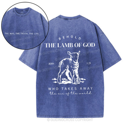 The Lamb Of God Christian Washed T-Shirt