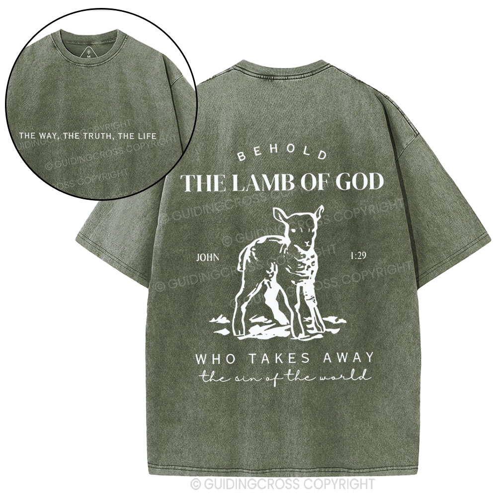 The Lamb Of God Christian Washed T-Shirt