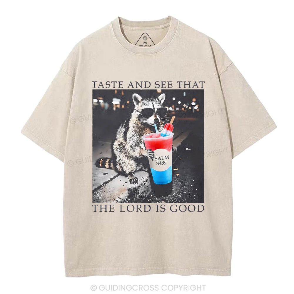 New-Sample Christian Washed T-Shirt Sale - GuidingCross