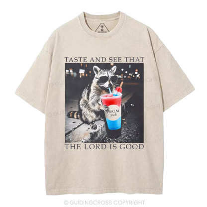 The Lord Is Good Christian Washed T-Shirt