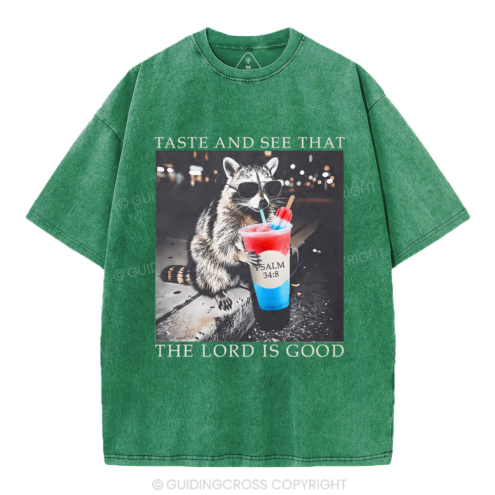 The Lord Is Good Christian Washed T-Shirt