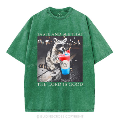 The Lord Is Good Christian Washed T-Shirt