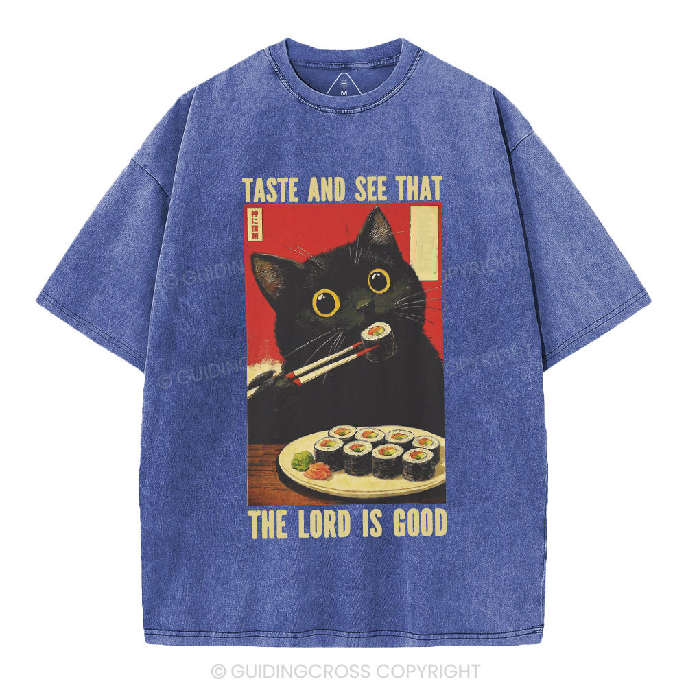 New-Sample Christian Washed T-Shirt Sale - GuidingCross