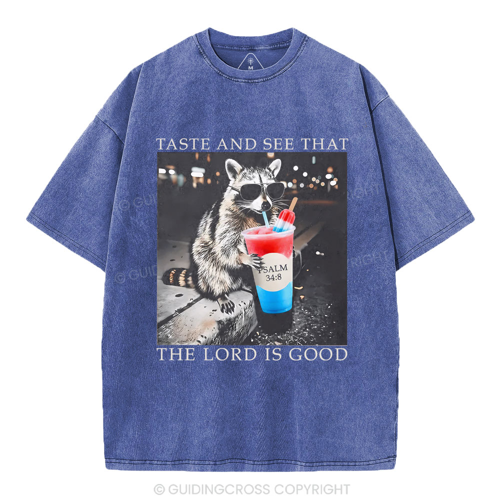 The Lord Is Good Christian Washed T-Shirt