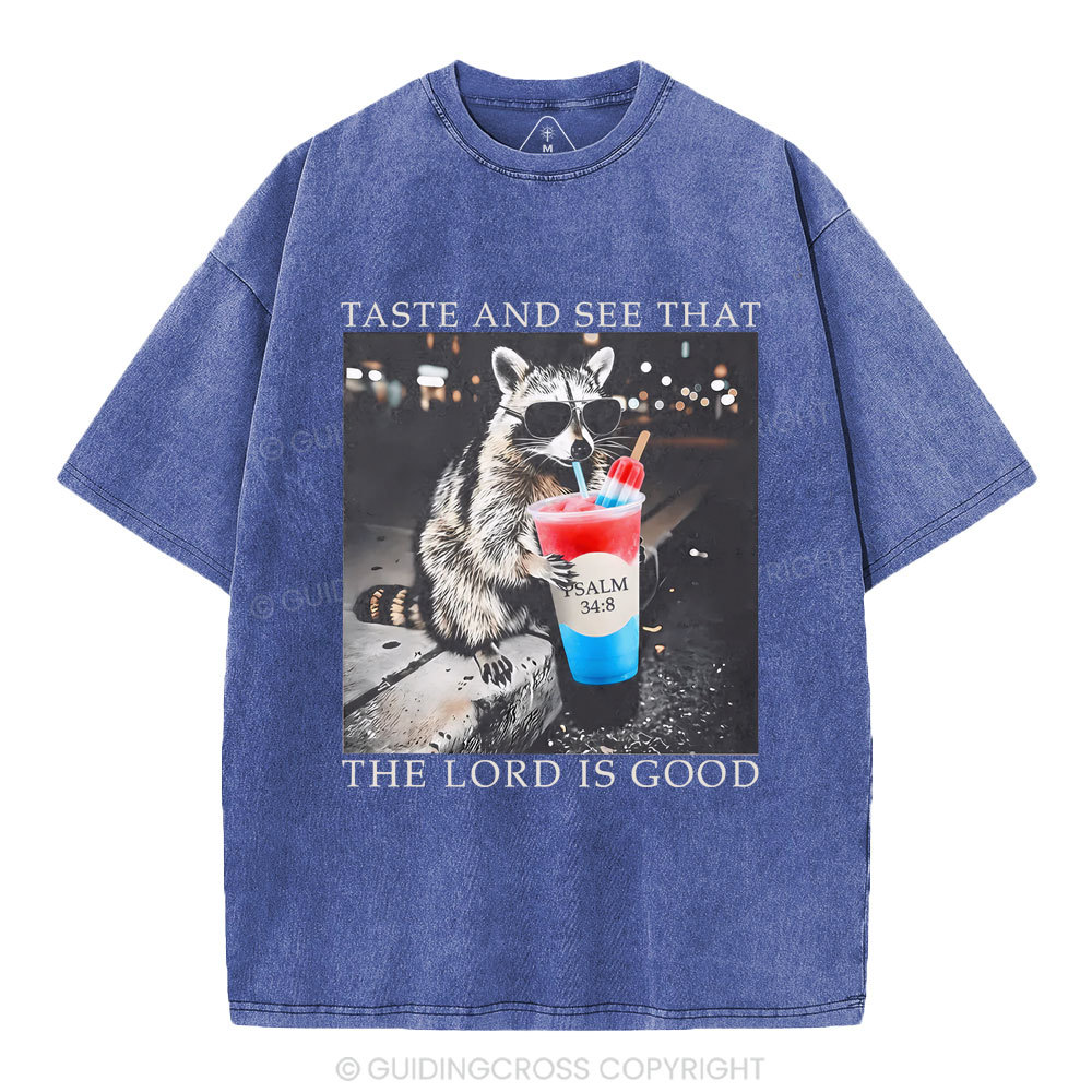 The Lord Is Good Christian Washed T-Shirt