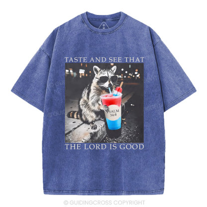 The Lord Is Good Christian Washed T-Shirt