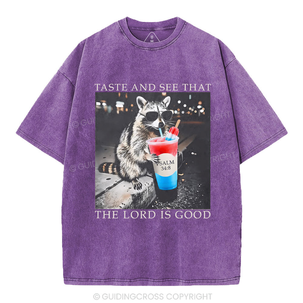 The Lord Is Good Christian Washed T-Shirt