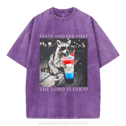 The Lord Is Good Christian Washed T-Shirt
