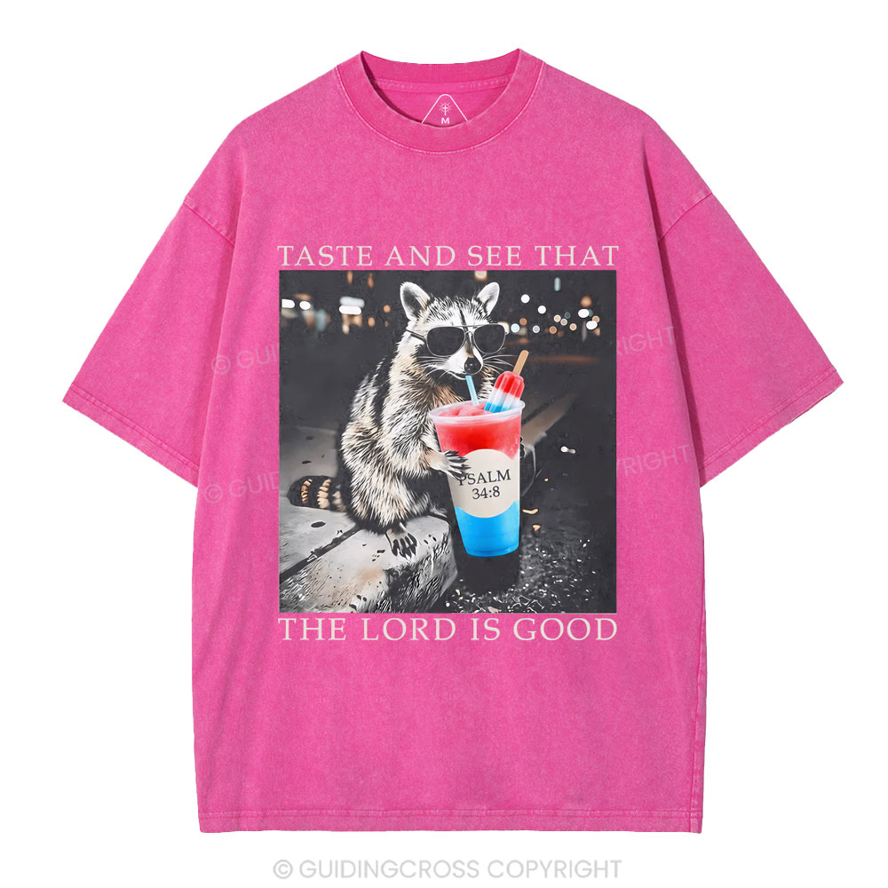 The Lord Is Good Christian Washed T-Shirt
