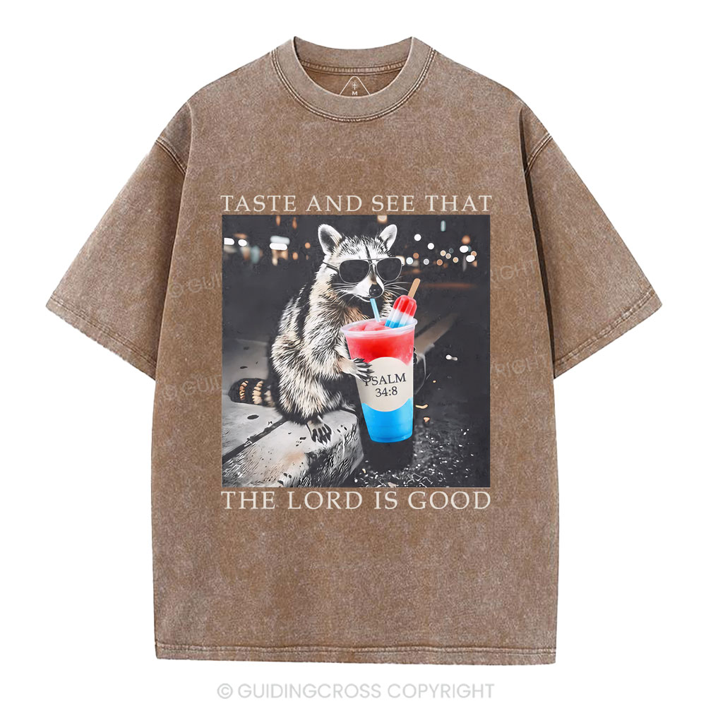 The Lord Is Good Christian Washed T-Shirt