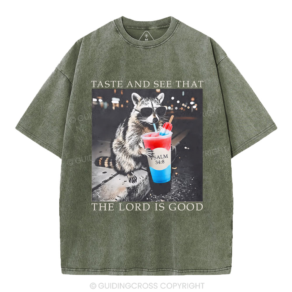 The Lord Is Good Christian Washed T-Shirt