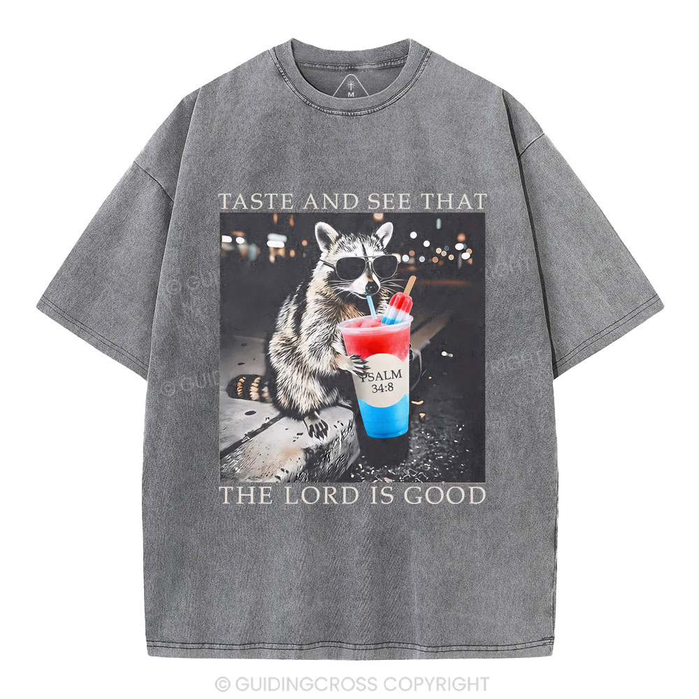 The Lord Is Good Christian Washed T-Shirt