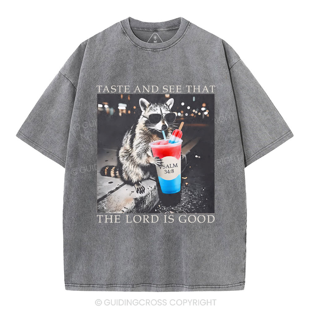 The Lord Is Good Christian Washed T-Shirt