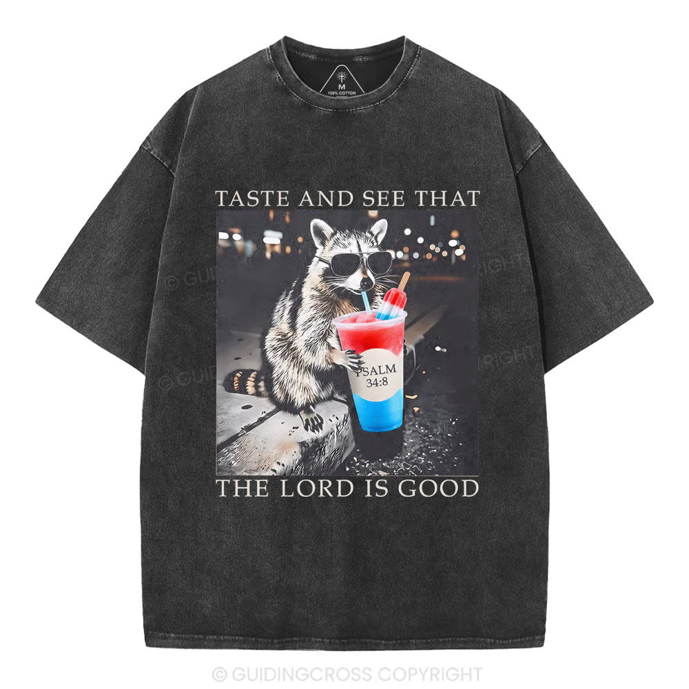 The Lord Is Good Christian Washed T-Shirt