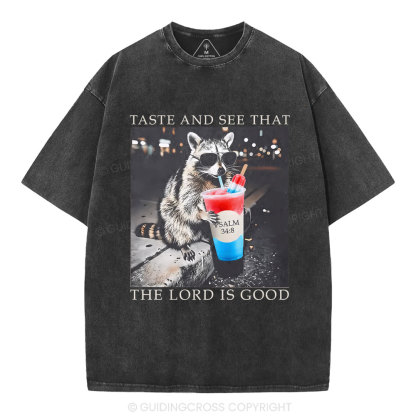 The Lord Is Good Christian Washed T-Shirt