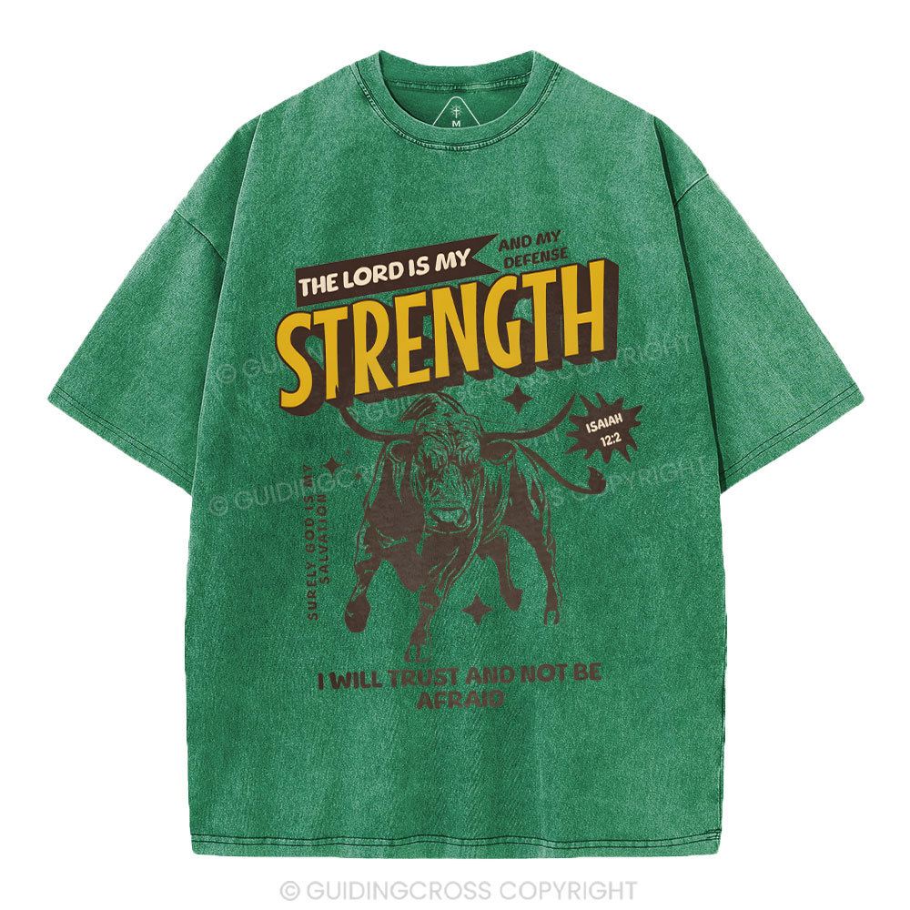 The Lord Is My Strength Chrsitian Washe d T-Shirt