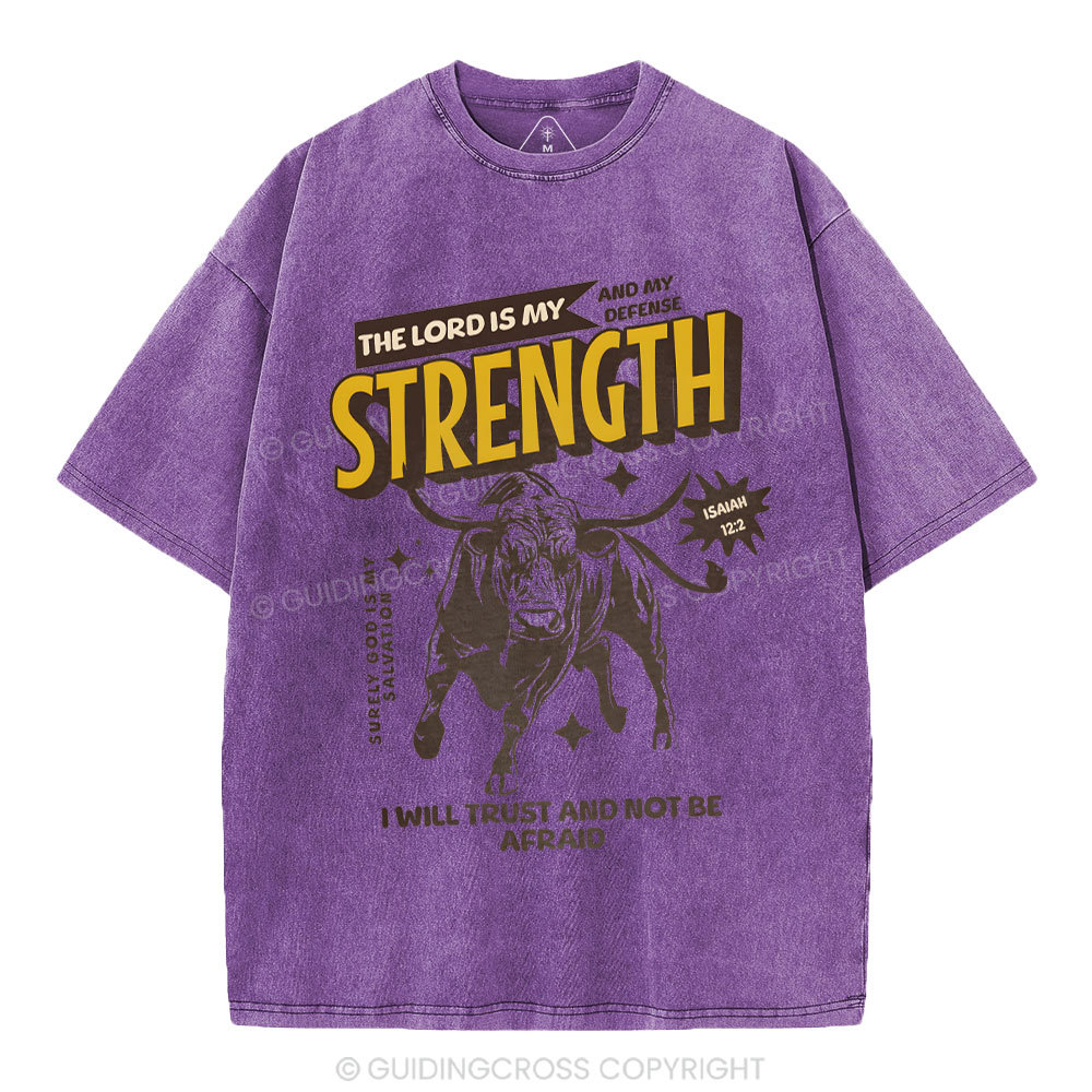The Lord Is My Strength Chrsitian Washe d T-Shirt