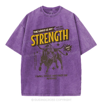 The Lord Is My Strength Chrsitian Washe d T-Shirt