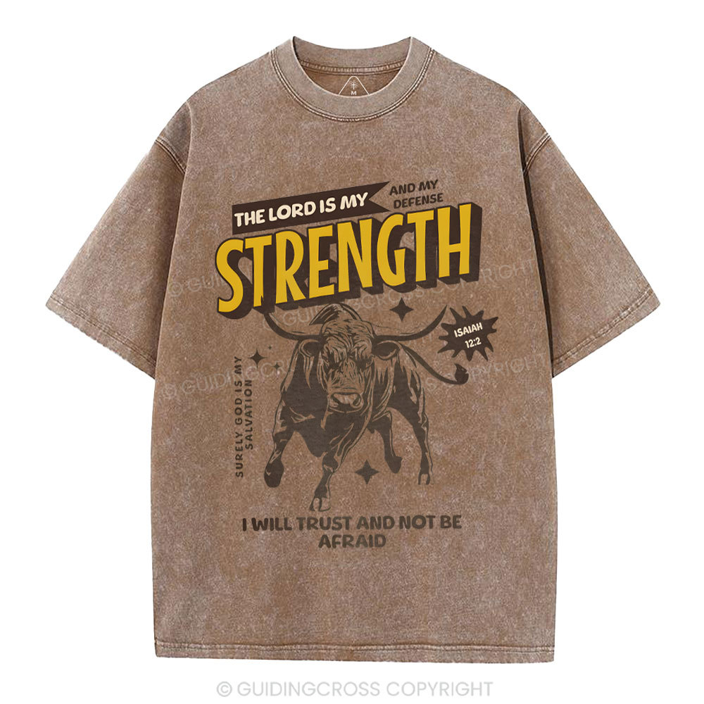 The Lord Is My Strength Chrsitian Washe d T-Shirt