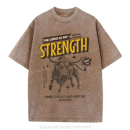 The Lord Is My Strength Chrsitian Washe d T-Shirt
