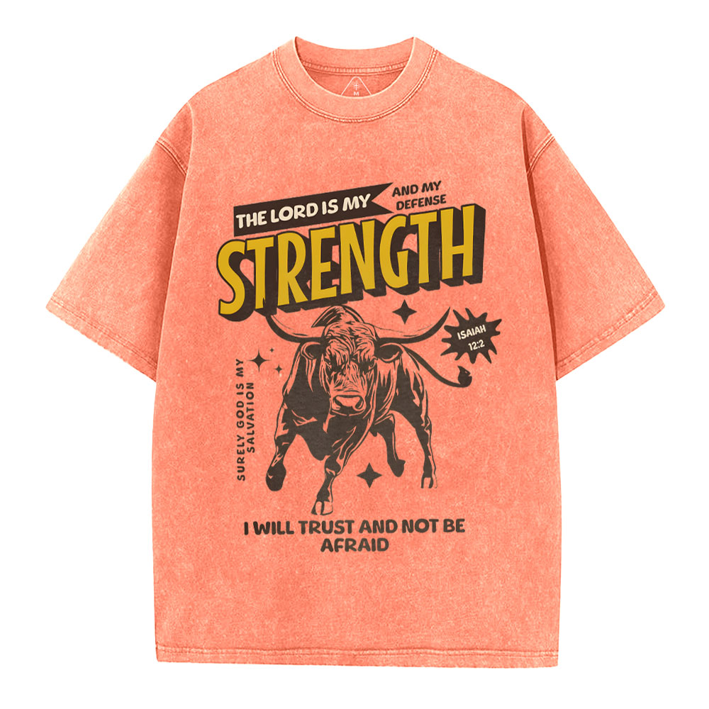 The Lord Is My Strength Chrsitian Washe d T-Shirt
