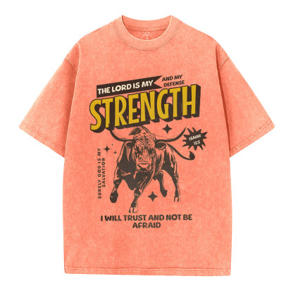 The Lord Is My Strength Chrsitian Washe d T-Shirt