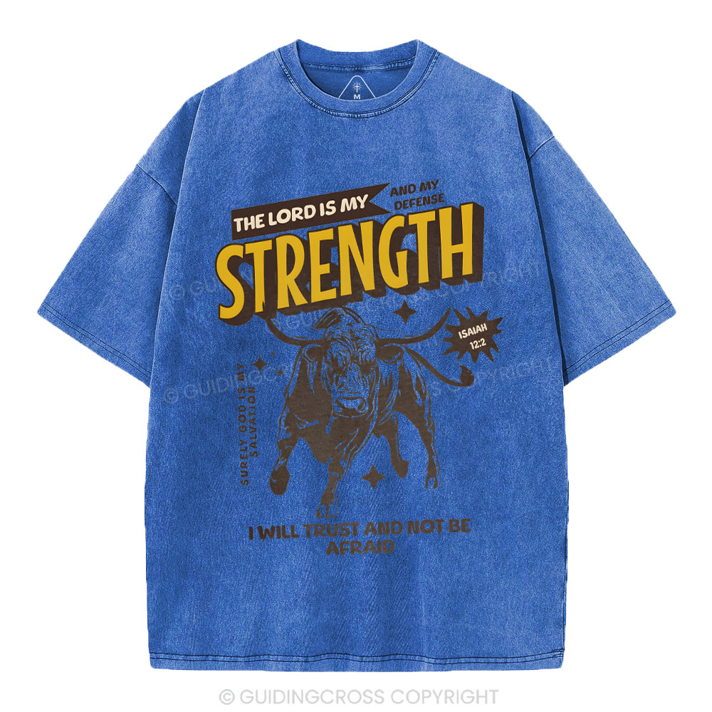 The Lord Is My Strength Chrsitian Washe d T-Shirt