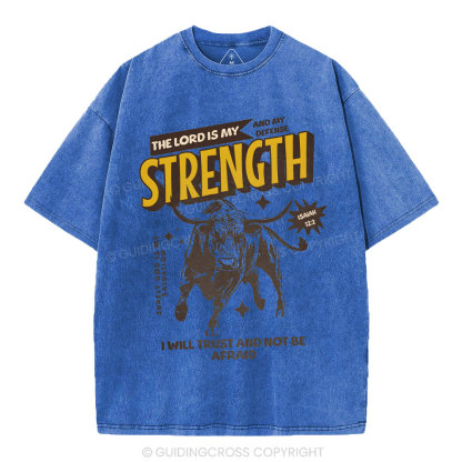 The Lord Is My Strength Chrsitian Washe d T-Shirt